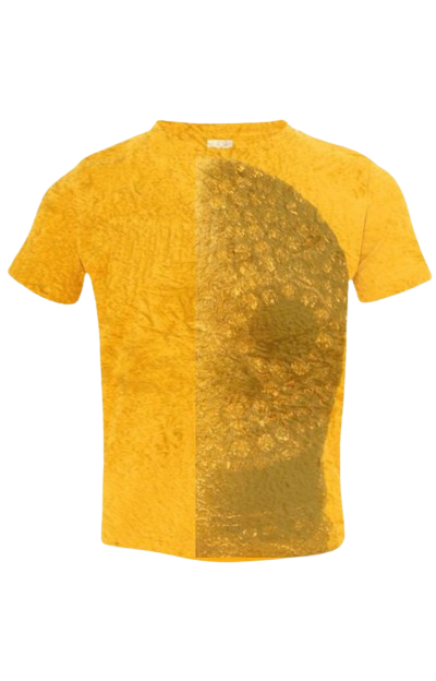 product_images/t-shirt-new.png